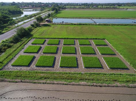 agspec philippines corporation|AGSPEC PHILIPPINES CORPORATION Verified Details.